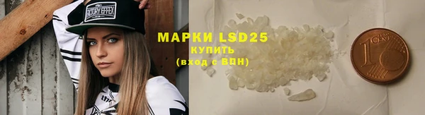 мяу мяу мука Няндома