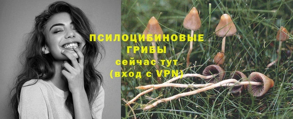 герыч Нязепетровск