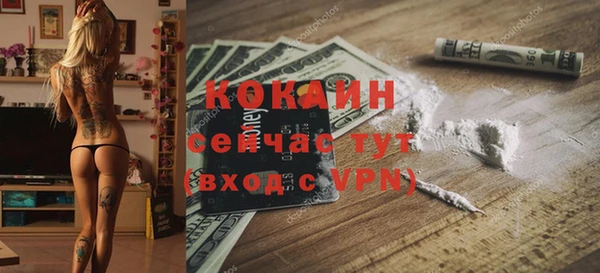 мяу мяу мука Няндома