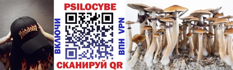 Галлюциногенные грибы Cubensis Кировград